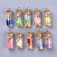 Glass Wishing Bottle Pendant Decorations, with Dried Flower  & Chip Gemstones inside, Cork Stopper and Platinum Iron Screw Eye Pin Peg Bails, Mixed Color, 27~29x11mm, Hole: 2mm(X-GLAA-S181-09)