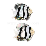 Natural Freshwater Shell & Black Lip Shell & Paua Shell Pendants, Clownfish Charms, 37~38x45~46x3mm, Hole: 3mm(SHEL-F007-14)