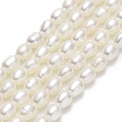 Natural Cultured Freshwater Pearl Beads Strands, Rice, Linen, 3.5~4.5x2.8~3.2mm, Hole: 0.6mm, about 101pcs/strand, 15.35''~15.55"(39~39.5cm)(PEAR-J006-03A)