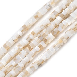 Natural Freshwater Shell Beads Strands, Disc, Heishi Beads, Wheat, 4x2mm, Hole: 0.9mm, about 146~148pcs/strand, 15.55~15.75 inch(39.5~40cm)(SSHEL-C013-04A)