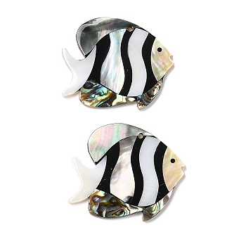 Natural Freshwater Shell & Black Lip Shell & Paua Shell Pendants, Clownfish Charms, 37~38x45~46x3mm, Hole: 3mm