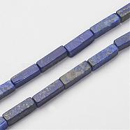 Natural Lapis Lazuli Beads Strands, Cuboid, 13~16x3~5x3~5mm, Hole: 0.5mm, about 29~31pcs/strand, 15.3~15.7 inch(39~40cm)(G-G968-D03)