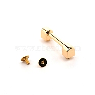 Zinc Alloy Bag Connector Anchor Buckles, with Iron Screw, for Bag Strap Hanger, Light Gold, 3.47x1.1x0.75cm, Hole: 1.8mm, 7x5.5mm, Pin: 2.4mm(FIND-WH0090-55KCG)