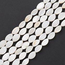 Natural Freshwater Shell Beads Strands, Oval, Seashell Color, 9~10x4.5~6x2.5~3mm, Hole: 1mm, about 38pcs/strand, 14.49''(36.8cm)(BSHE-E028-03)