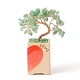Herz Geldbaum natürliche natürliche grüne Aventurin Bonsai Display Dekorationen(DJEW-G027-16RG-04)-3