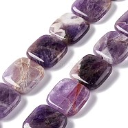 Natural Amethyst Beads Strands, Square, 19.5~20x19.5~20x6.5~7mm, Hole: 1.2mm, about 20pcs/strand, 15.59''~15.91''(39.6~40.4cm)(G-L253-11)