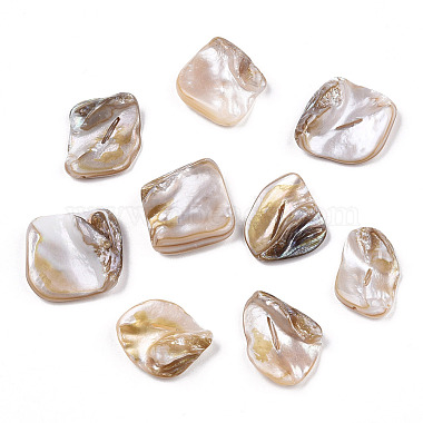 Perles de coquille d'eau douce(X-SSHEL-T005-11)-2