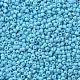 Glass Seed Beads(SEED-A010-2mm-43)-2