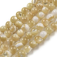 Natural Trochid Shell/Trochus Shell Beads Strands, Round, Wheat, 3mm, Hole: 0.3mm, about 129pcs/strand, 15.12''(38.4cm)(BSHE-Z005-04B)