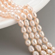 Natural Cultured Freshwater Pearl Beads Strands, Rice, Grade 2A, PeachPuff, 4~4.5mm, Hole: 0.6mm, about 26~29pcs/strand, 6.69''(17cm)(PEAR-P062-05A)