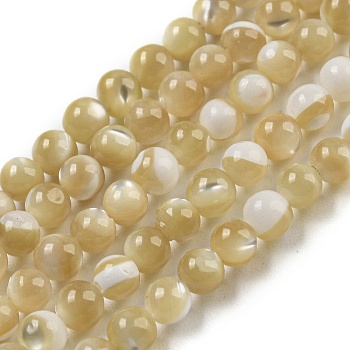 Natural Trochid Shell/Trochus Shell Beads Strands, Round, Wheat, 3mm, Hole: 0.3mm, about 129pcs/strand, 15.12''(38.4cm)