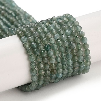 Natural Green Apatite Beads Strands, Faceted, Round, Grade AB, 3~3.5mm, Hole: 0.6mm, about 117~130pcs/strand, 15.55~15.75 inch(39.5~40cm)
