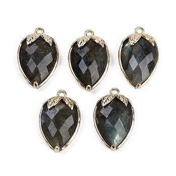 Natural Labradorite Faceted Pendants, Rack Plating Brass Strawberry Charms, Golden, 18x11x5~5.5mm, Hole: 1.2mm