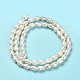 Natural Cultured Freshwater Pearl Beads Strands(PEAR-E016-164)-3