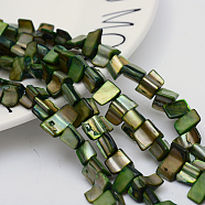 Natural Shell Beads Strands, Green, 8~17.5x5~8x5mm, Hole: 1mm, 16 inch/strand, 40pcs/strand(X-PBB050Y)