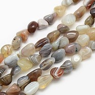 Natural Botswana Agate Nuggets Beads Strands, 8~12x8~18mm, Hole: 1mm, about 44pcs/strand, 15.5 inch(G-L154-03)