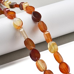 Natural Red Agate Beads Strands, Oval, 14x10x5mm, Hole: 0.5mm, about 28pcs/strand, 15.55''(39.5cm)(G-P559-B01-01)