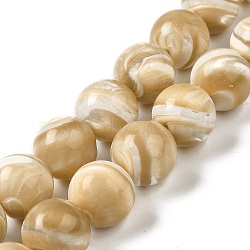 Natural Trochus Shell Beads Strands, Round, BurlyWood, 16.5~17mm, Hole: 1.2mm, about 23pcs/strand, 14.92''~15''(37.9~38.1cm)(SHEL-K006-18A)