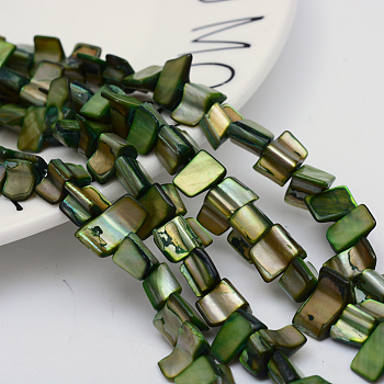 Natural Shell Beads Strands, Green, 8~17.5x5~8x5mm, Hole: 1mm, 16 inch/strand, 40pcs/strand