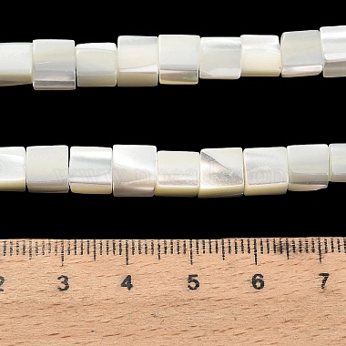 Natural Trochid Shell/Trochus Shell Beads Strands(SHEL-C010-05A)-4