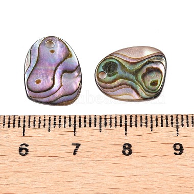 Natural Paua Shell Nuggets Charms(SHEL-T020-11B)-3