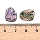 Natural Paua Shell Nuggets Charms(SHEL-T020-11B)-3