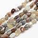 pépites naturelles agate de Botswana brins de perles(G-L154-03)-1