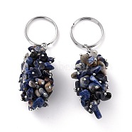 Natural Sodalite Keychain, with Brass and Iron Findings, Cadmium Free & Lead Free, Platinum, 8.05cm(KEYC-C050-01C-RS)