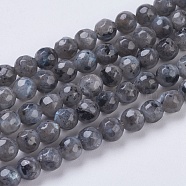 Natural Larvikite Beads Strands, Faceted, Round, Gray, 4mm, Hole: 1mm, about 90pcs/strand, 15.35 inch(G-G545-14)