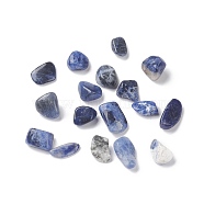 Natural Sodalite Beads, No Hole/Undrilled, Chip, 5~13.5x4~6x3.5~4.5mm(G-F722-01)
