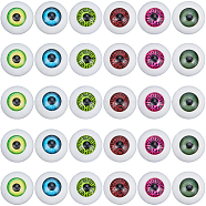 36pcs 6 colors Half Round Acrylic Craft Eyes, Doll Making Accessories, Mixed Color, 16x8.6mm, 6pcs/color(KY-GF0001-45)