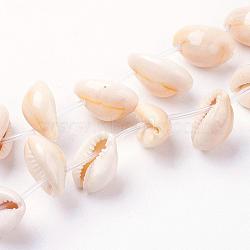Natural Cowrie Shell Beads Strands, Bisque, 17~19x10~14x8~9mm, Hole: 1mm, about 26pcs/strand, 15.5 inch(39.5cm)(BSHE-L036-32E-03)