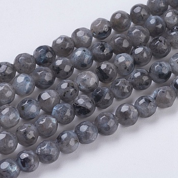 Natural Larvikite Beads Strands, Faceted, Round, Gray, 4mm, Hole: 1mm, about 90pcs/strand, 15.35 inch