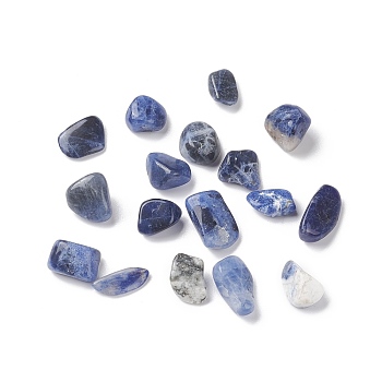 Natural Sodalite Beads, No Hole/Undrilled, Chip, 5~13.5x4~6x3.5~4.5mm