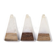 Resin & Wood Pendants, Triangle Charms, White, 28.5x14x3.5mm, Hole: 1.6mm(WOOD-F015-03H)