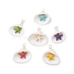 Dyed Synthetical Turquoise Star Pendants, Natural Shell Charms, Golden, Mixed Color, 31~33x24.5~33x13~20mm, Hole: 3~4mm(PALLOY-JF02647)