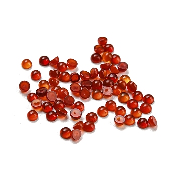 Natural Carnelian Cabochons, Half Round, 2x1mm