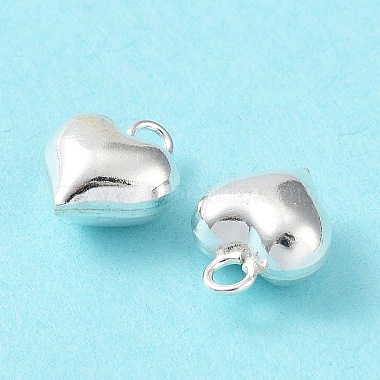 925 encantos de plata esterlina(X-STER-H106-01A-S)-4