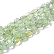 Natural Prehnite Beads Strands, Tumbled Stone, Nuggets, Grade A, 5~10.5x5~6.5x4~5.5mm, Hole: 1mm, about 53~54pcs/strand, 15.16~15.35 inch(38.5~39cm)(G-F706-02A)