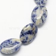 Flat Oval Gemstone Natural Blue Spot Jasper Beads Strands, Royal Blue, 18x13x6mm, Hole: 2mm, about 22pcs/strand, 15.7 inch(X-G-S113-08)