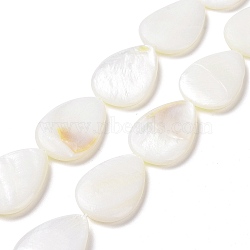 Natural Freshwater Shell Beads Strands, Flat Teardrop, White, 24~25x17~18x4mm, Hole: 1mm, about 16pcs/strand, 15.35 inch(39cm)(X-SHEL-H001-12)