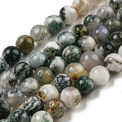 Natural Tree Agate Round Gemstone Beads Strands, 6.5mm, Hole: 1mm, about 63pcs/strand, 15.5 inch(X-G-R255-6mm)