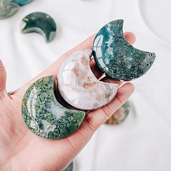 Natural Moss Agate Display Decorations, for Home Office Desk, Moon, 50~60mm(G-PW0004-15)