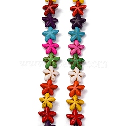 Synthetic Turquoise Beads Strands, Dyed, Starfish, Mixed Color, 21x21x8mm, Hole: 1mm, about 324pcs/1000g(G-C147-20)