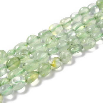 Natural Prehnite Beads Strands, Tumbled Stone, Nuggets, Grade A, 5~10.5x5~6.5x4~5.5mm, Hole: 1mm, about 53~54pcs/strand, 15.16~15.35 inch(38.5~39cm)