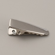Stainless Steel Alligator Hair Clip Findings, Stainless Steel Color, 24x9x9mm(FIND-TAC0014-74E)