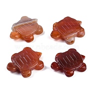 Natural Red Agate Carved Beads, Tortoise, 38.5~40x30~30.5x10mm, Hole: 3.5mm(G-K383-18B)