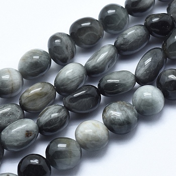 Natural Hawk's Eye Beads Strands, Tumbled Stone, Eagle Eye Stone, Nuggets, 8~12x7~10x4~8mm, Hole: 0.8mm, about 40~42pcs/strand, 15.7 inch(40cm)