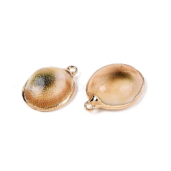 Natural Spiral Shell Pendants, Shell Shaped Charms with Golden Tone Iron Loops, Olive, 24~26.5x18.5~20.5x7.5~9mm, Hole: 1.8~2mm(SSHEL-N038-41)