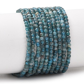 Natural Apatite Beads Strands, Smooth Round, 2.5~3.5mm, Hole: 0.6~0.7mm, about 126~151pcs/strand, 14.96~16.34''(38~41.5cm)